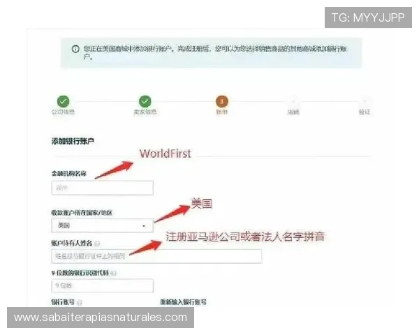 掌握PA视讯开户流程的关键点帮助用户高效完成账户申请手续