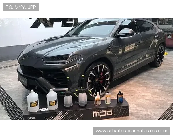 凯发真人平台技术支持与平台稳定性分析报告