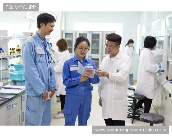 打造专业化的ag竞咪厅团队，提升整体服务水平与用户满意度