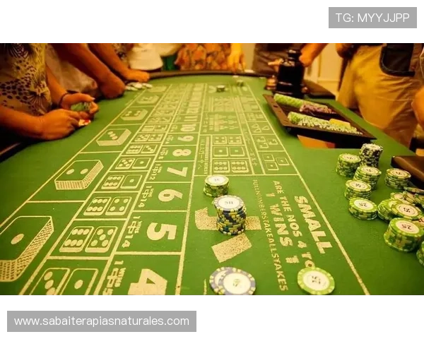 百家乐怎么玩才能赢钱的实用技巧大全，助你在赌场中轻松赢取更多奖金