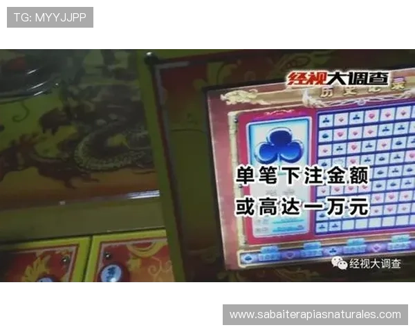 掌握百家乐技巧公式的实用方法，轻松应对各种游戏局势提升盈利能力